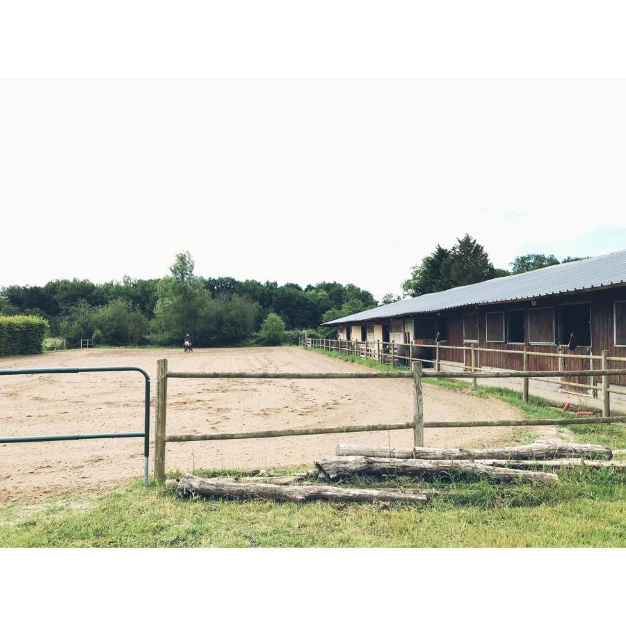 La Ferme De La Maugerie Bed and Breakfast Thoury Eksteriør billede